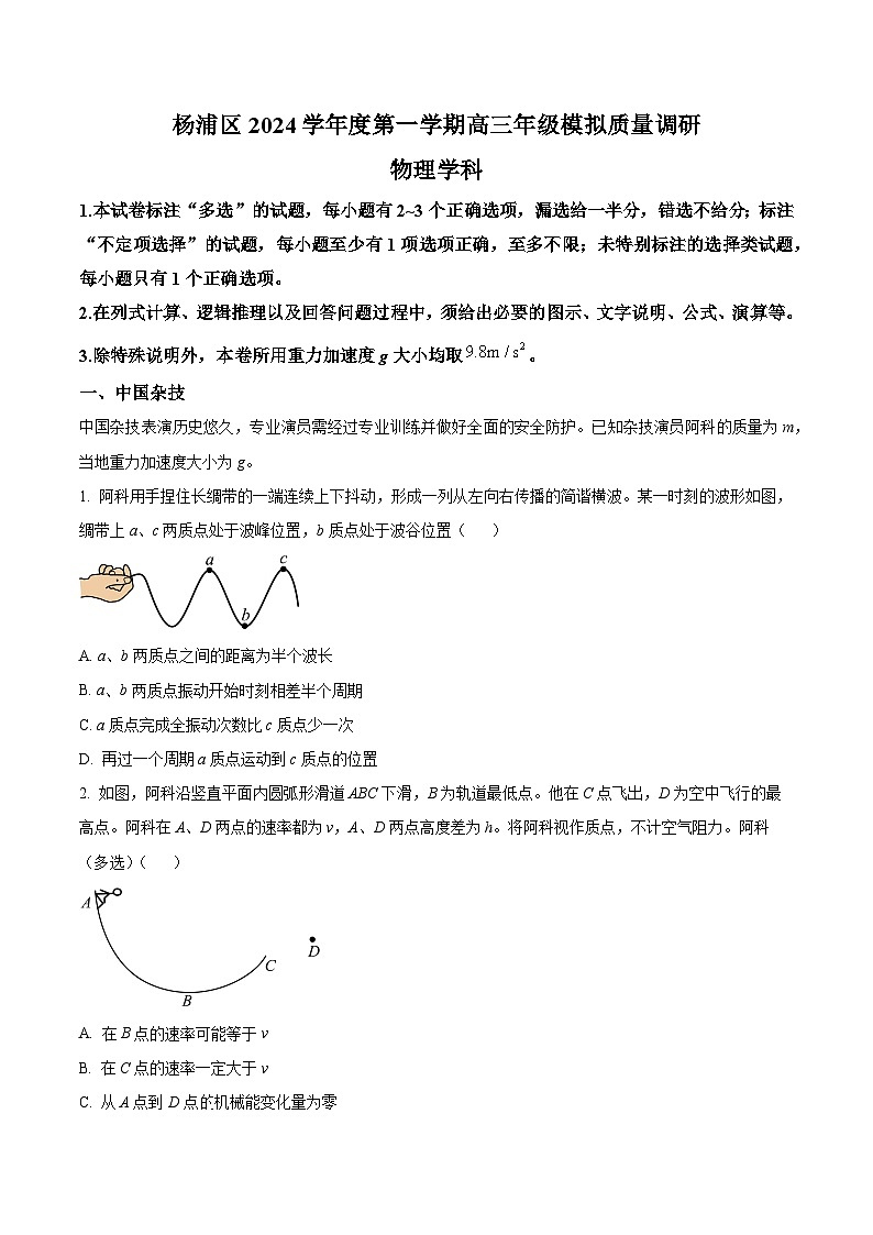 2025届上海市杨浦区高三上学期模拟质量调研（一模）考试物理试题（解析版）第1页