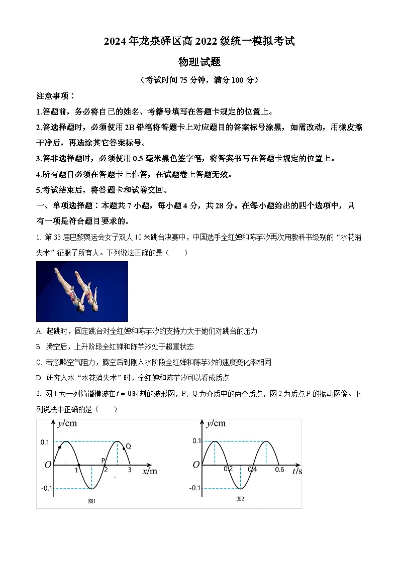 2025届四川省成都市龙泉驿区高三上学期统一模拟考试物理试题（原卷版）第1页