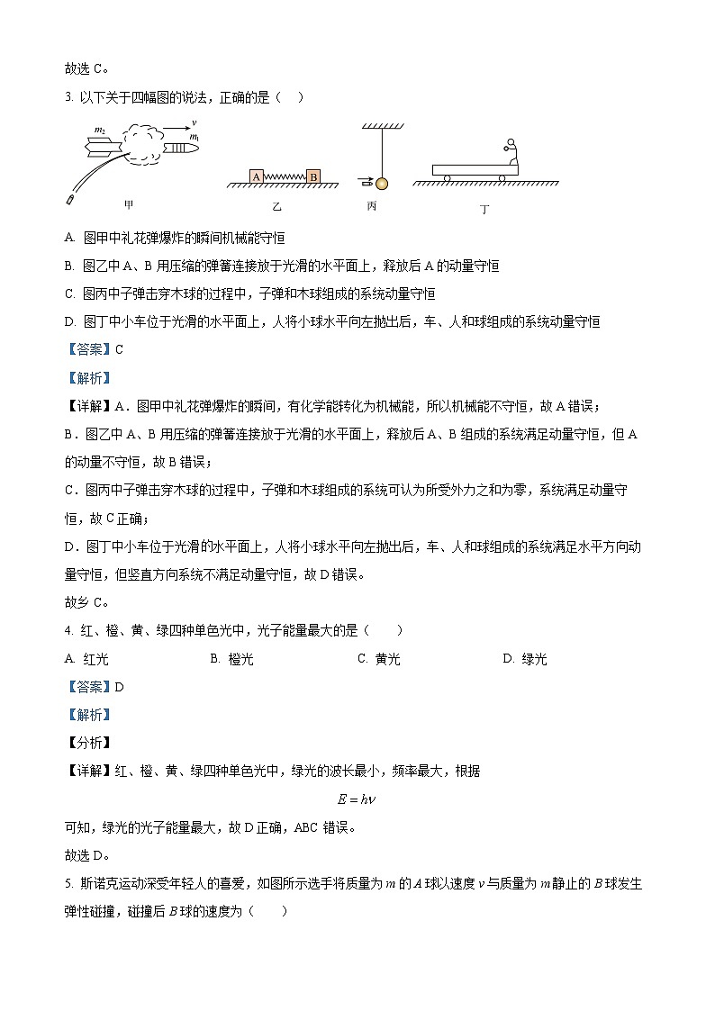 新疆维吾尔自治区喀什地区莎车县2024-2025学年高二上学期1月期末考试物理试题（解析版）第2页