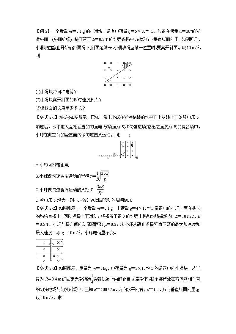 人教版高中物理(选修二)同步题型训练专题1.8 带电粒子在叠加场中的运动（学生版）第3页