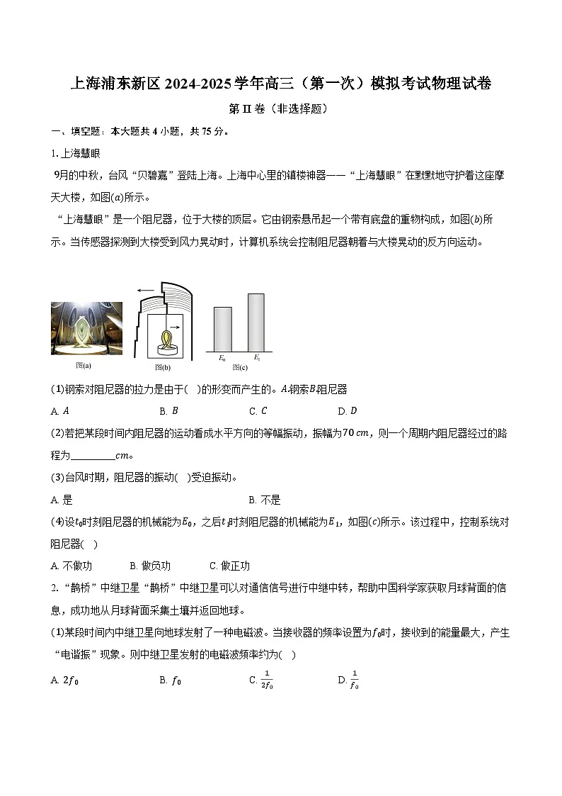 上海浦东新区2024-2025学年高三（第一次）模拟考试物理试卷【含解析】第1页