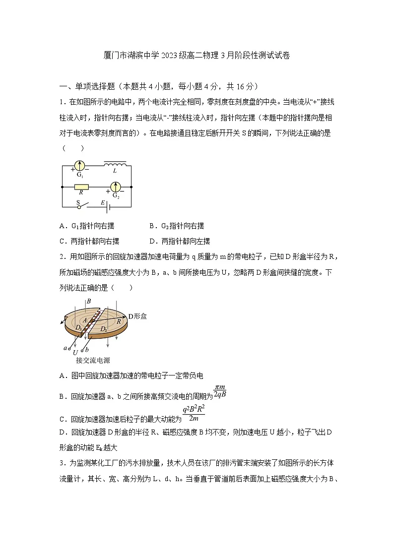 福建省厦门市湖滨中学2024-2025学年高二下学期3月阶段性测试 物理试卷第1页