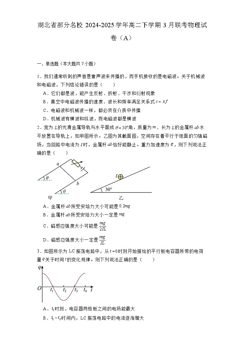 湖北省部分名校2024-2025学年高二下学期3月联考 物理试卷（A）（含解析）第1页