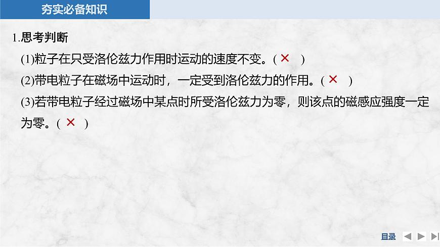 2025届高三物理一轮复习精品课件第十章磁场第2讲磁场对运动电荷的作用第7页
