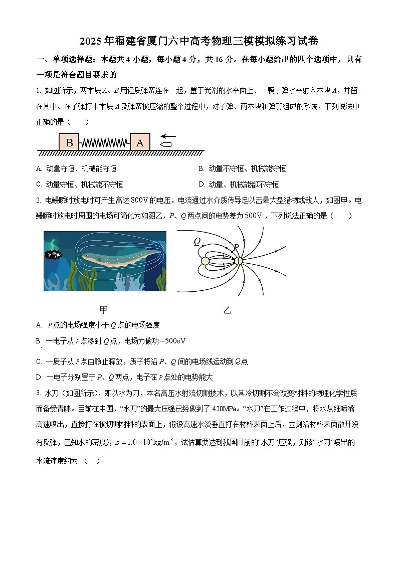2025届福建省厦门第六中学高三下学期第三次模拟测试物理试题（原卷版+解析版）第1页