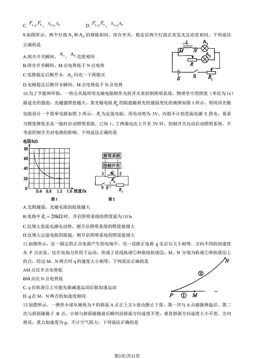 2025北京朝阳高三一模(高考模拟)物理试卷（教师版）第3页