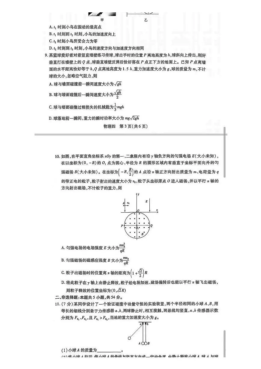 江西省2025届名校学术联盟高三高考模拟冲刺预测卷（四）-物理试题+答案第3页