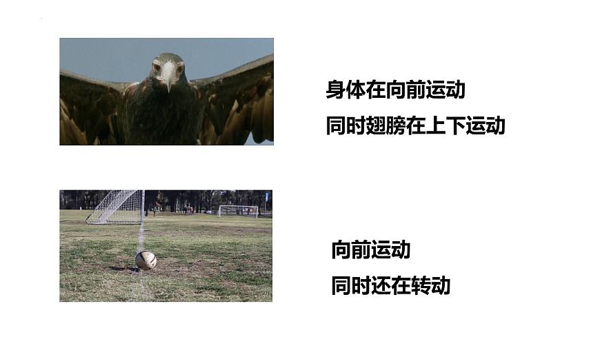 物理人教版（2019）必修第一册1.1质点 参考系课件第2页