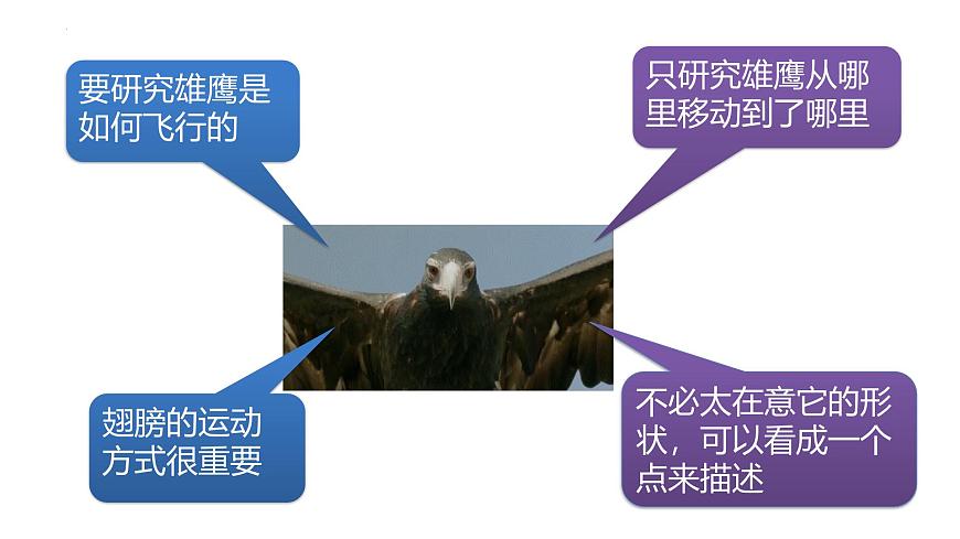 物理人教版（2019）必修第一册1.1质点 参考系课件第3页