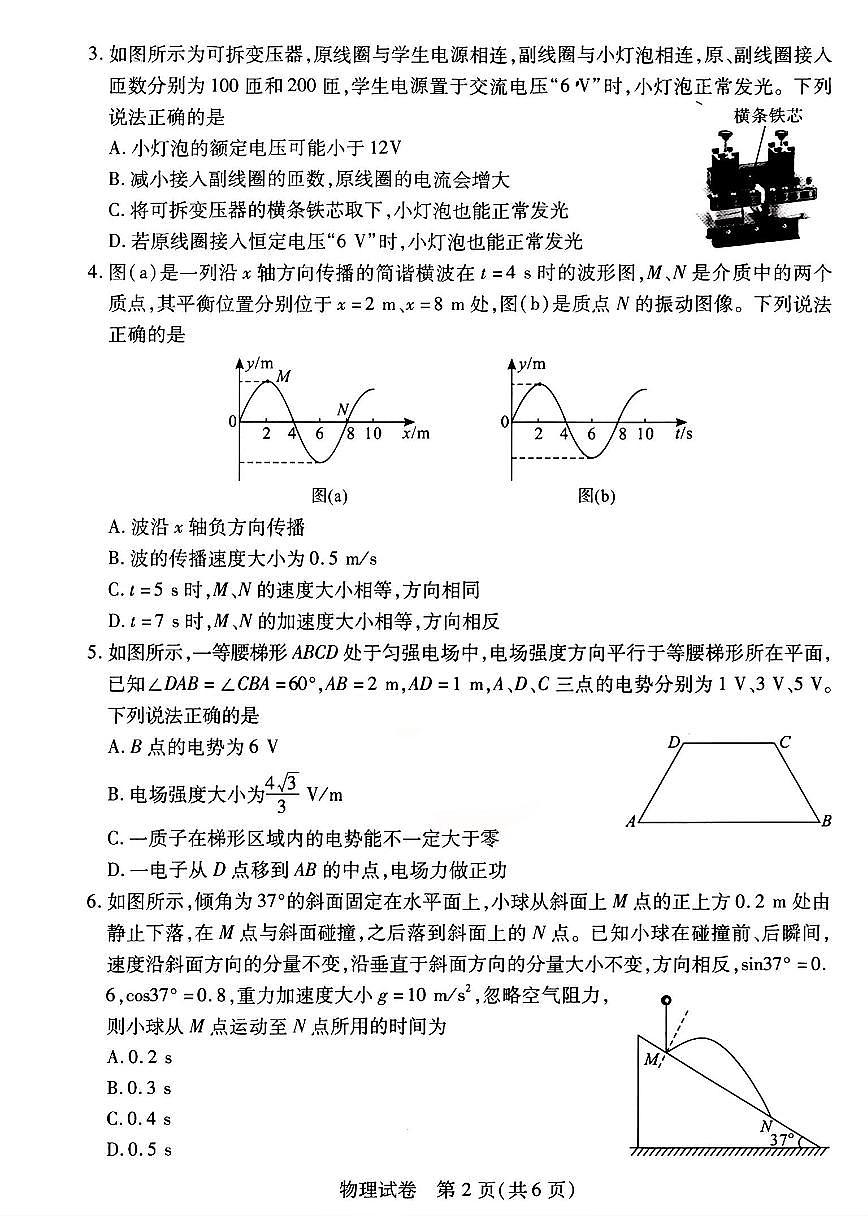 2024届湖北省武汉市高三5月模拟训练-物理试卷（含答案）第2页