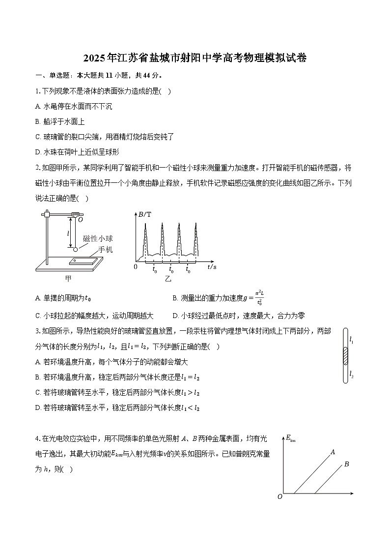 2025年江苏省盐城市射阳中学高考物理模拟试卷(含详细答案解析)第1页