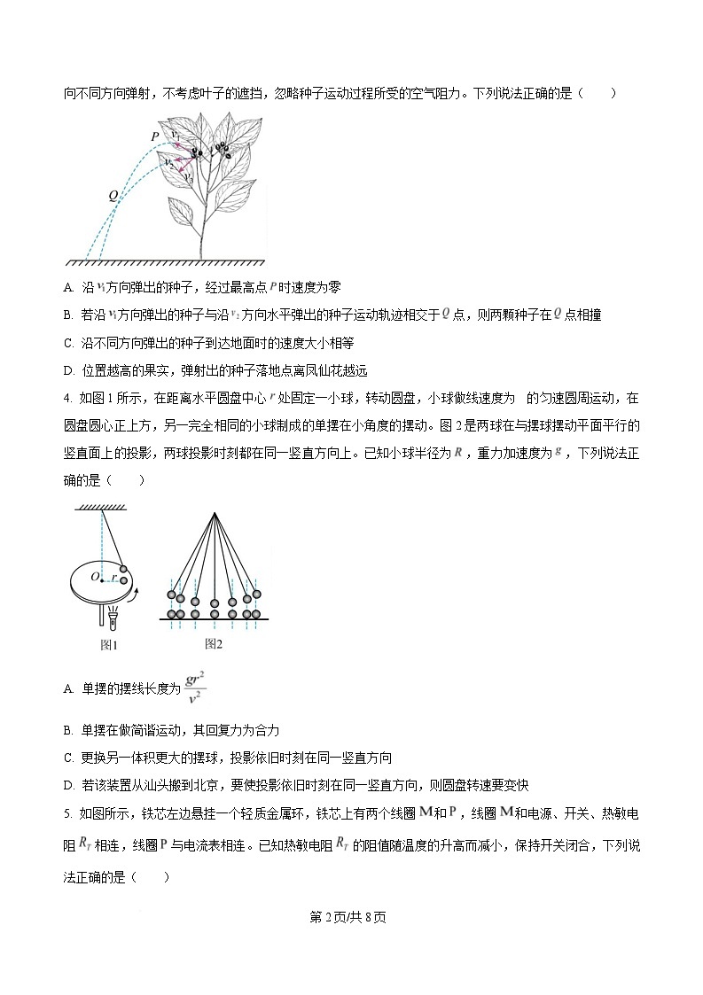 广东省汕头市2025届高三下学期一模物理试卷（原卷版）第2页