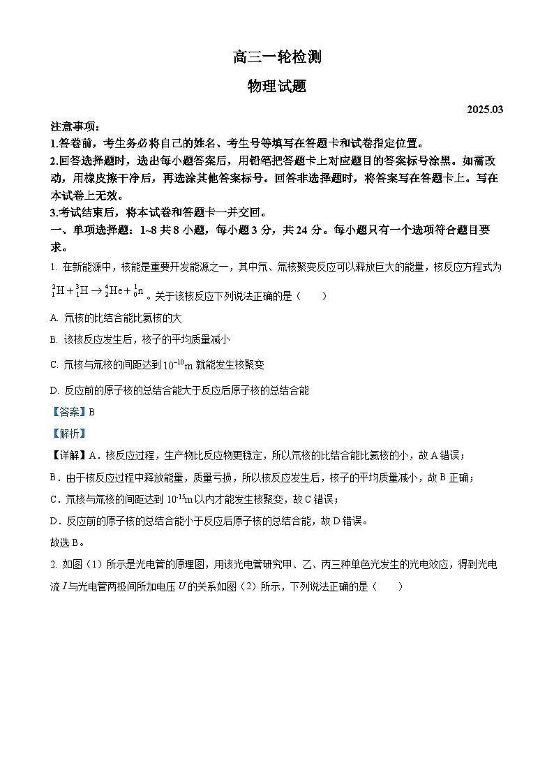 2025届山东省泰安市高三下学期3月一模物理试题  Word版含解析第1页