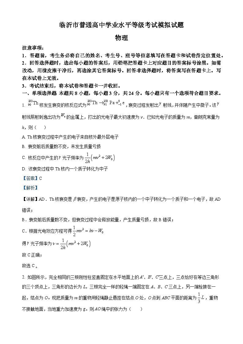 2025届山东省临沂市高三下学期一模考试物理试题 含解析第1页
