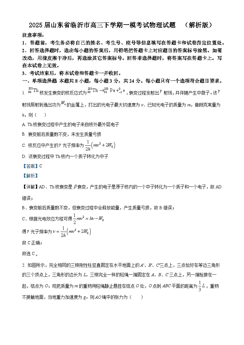 2025届山东省临沂市高三下学期一模考试物理试题 （解析版）第1页