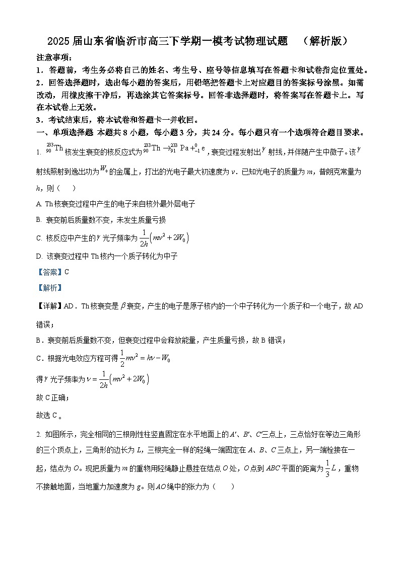 2025届山东省临沂市高三下学期一模考试物理试题  （解析版）第1页