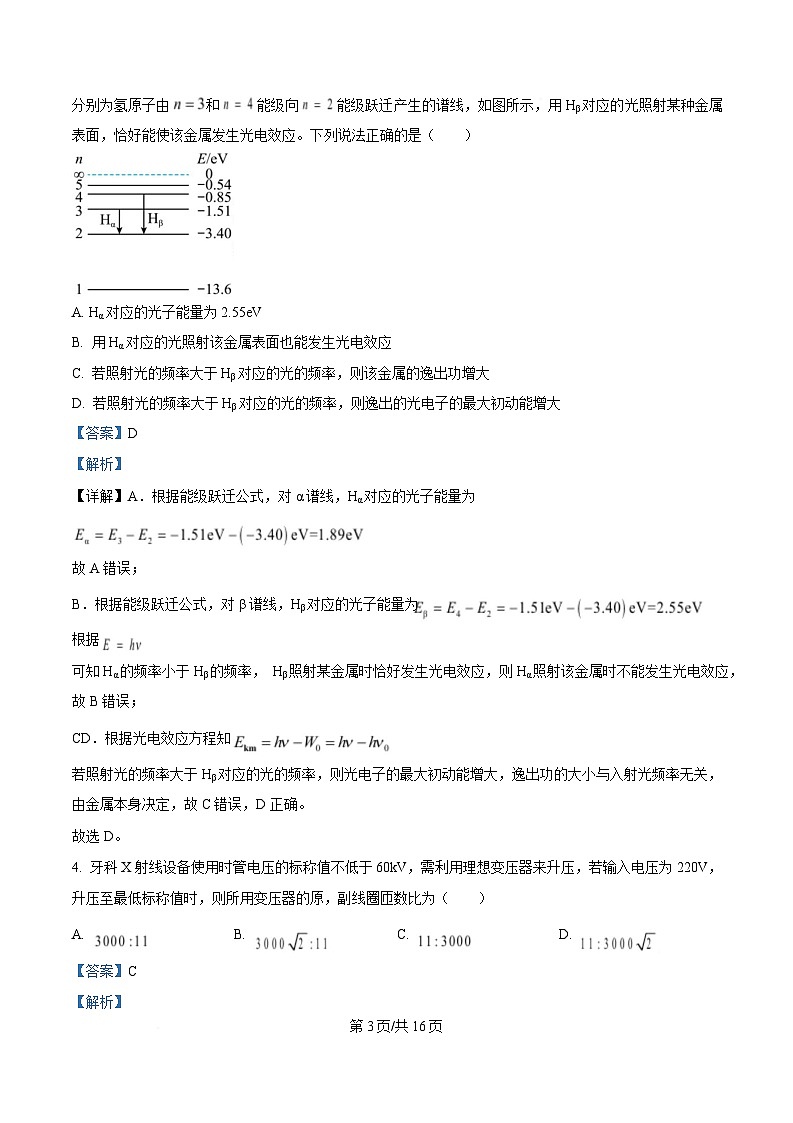 2025届辽宁省辽阳市高三下学期第一次模拟考试物理试题 （解析版）第3页