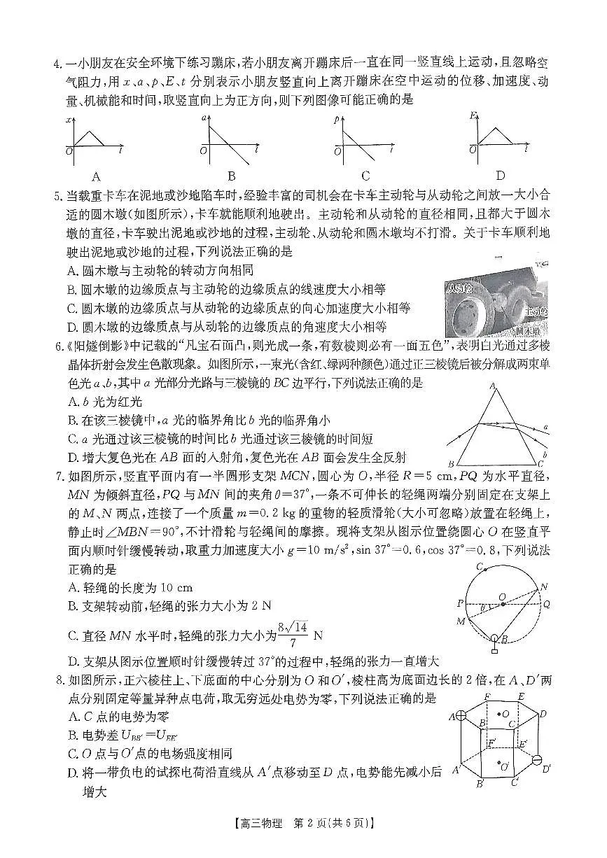 2025年1月广西12市高三调研考试 物理试卷（含答案）第2页