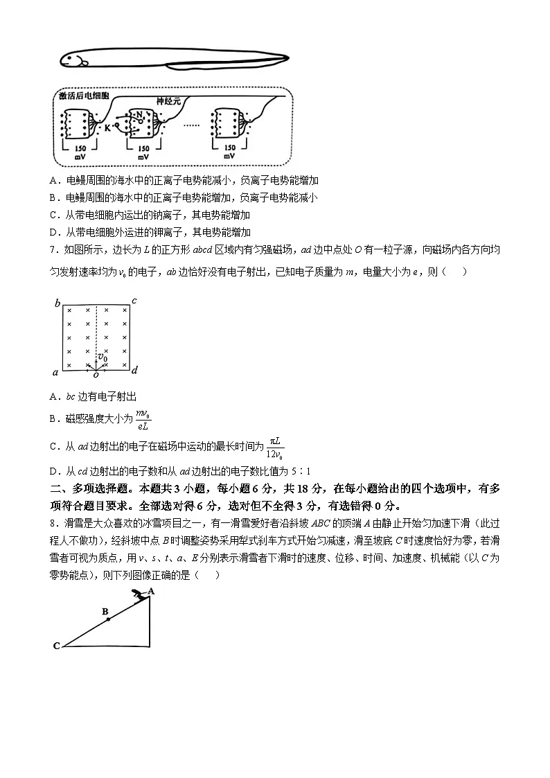 2025届广东省佛山市普通高中教学质量检测（二）+物理试卷(无答案)第3页