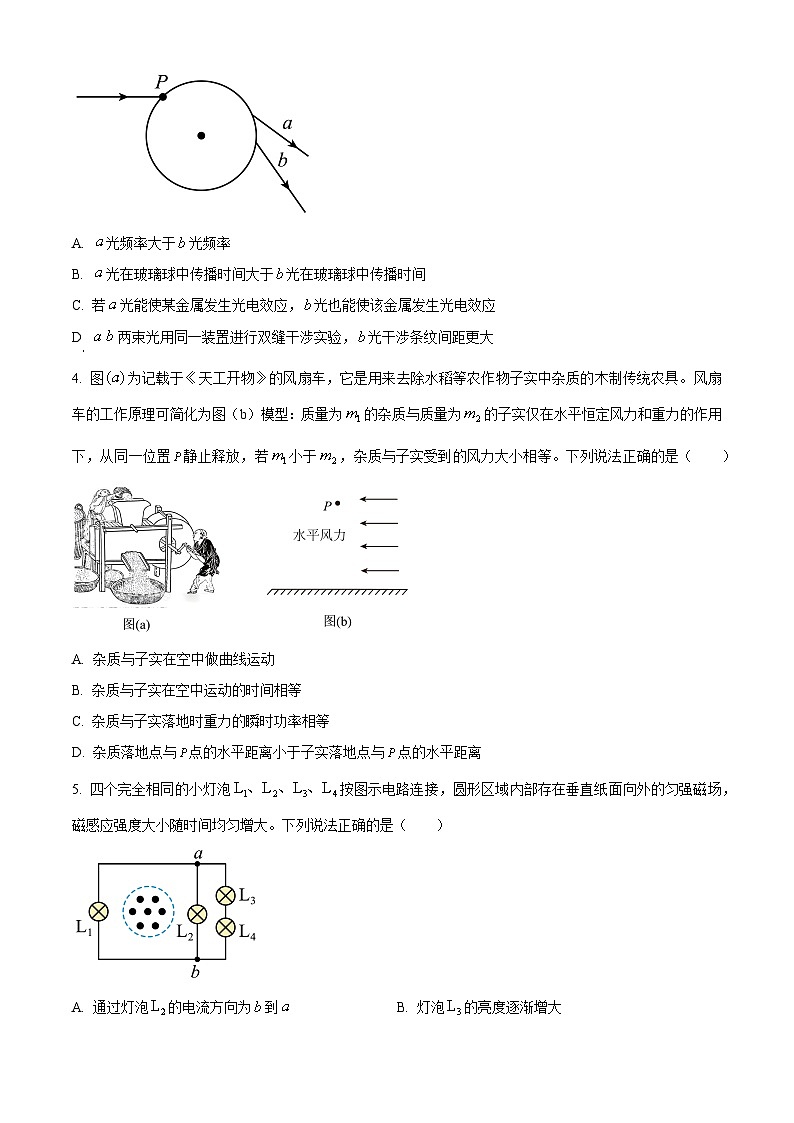 2025届四川省成都市高三下学期二诊物理试题  Word版无答案第2页