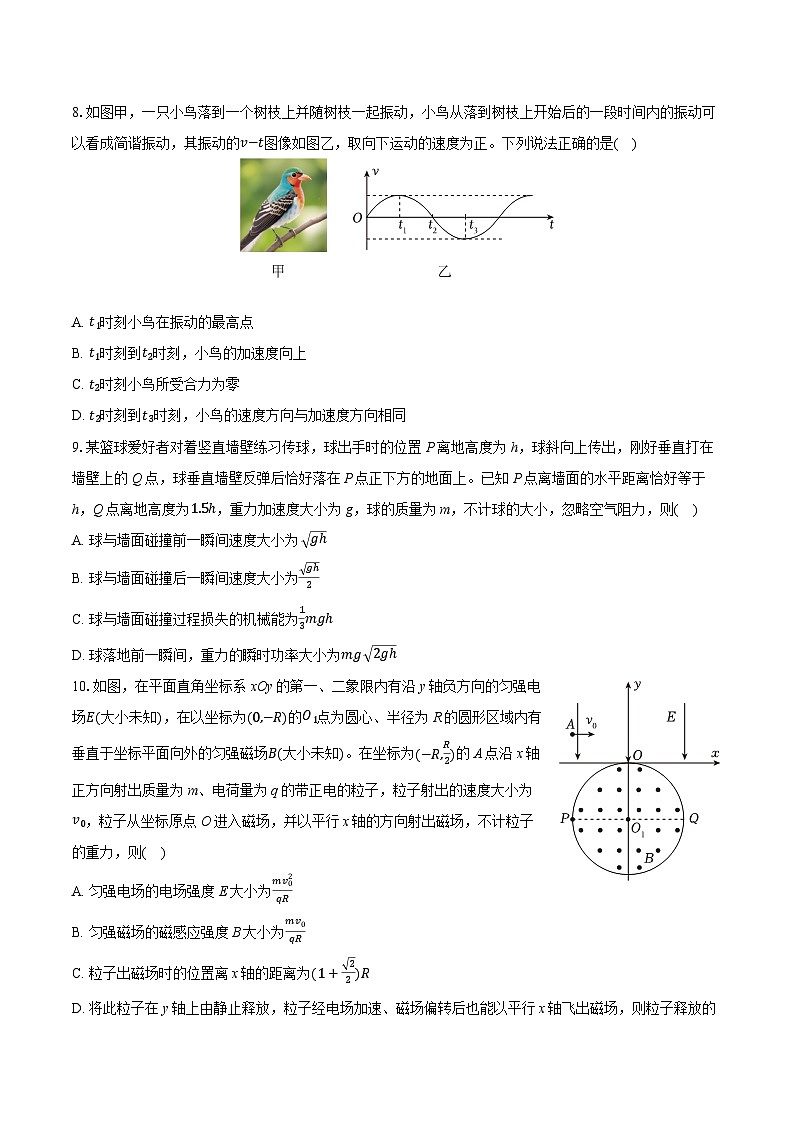 2025年江西省名校学术联盟高考物理模拟试卷（四）（含详细答案解析）第3页