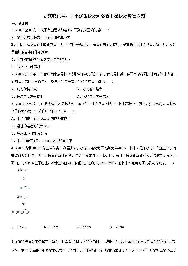 专题强化三 自由落体运动和竖直上抛运动规律专题-高一物理精讲与精练高分突破考点专题系列（人教版2019必修第一册）第1页