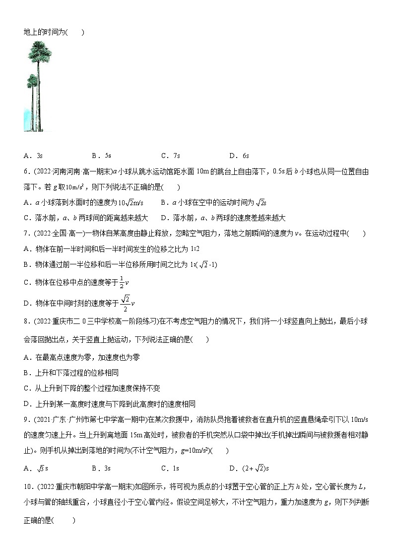 专题强化三 自由落体运动和竖直上抛运动规律专题-高一物理精讲与精练高分突破考点专题系列（人教版2019必修第一册）第2页
