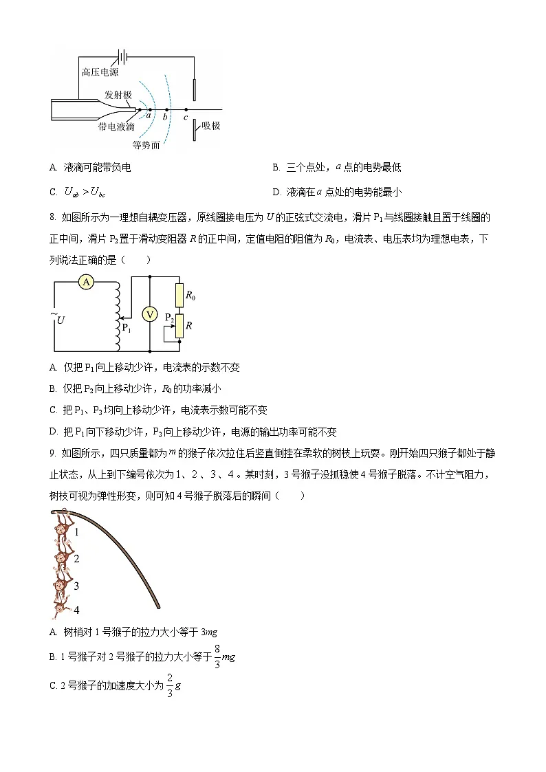浙江强基联盟2024-2025学年高二下学期3月联考卷物理试题 Word版无答案第3页