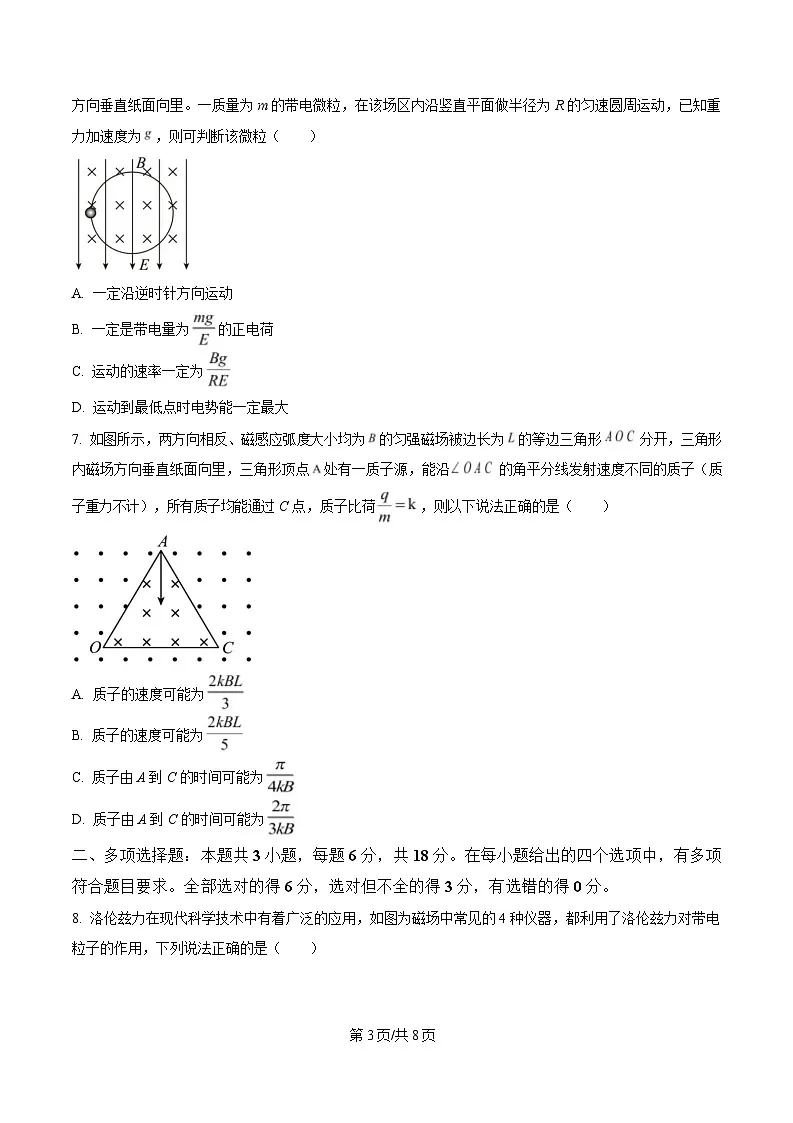 四川省凉山州民族中学2024-2025学年高二下学期3月月考物理试题（原卷版）第3页