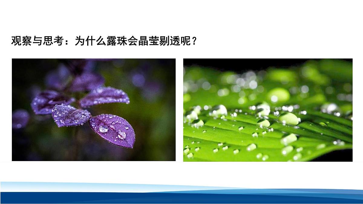 人教版高中物理选择性必修一  4-2全反射 课件第2页