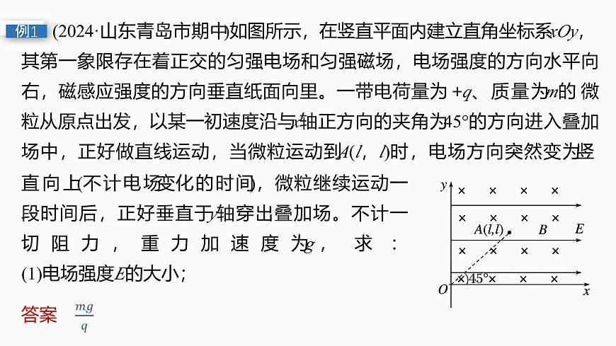 第十一章　第63课时　专题强化：带电粒子在叠加场中的运动　带电粒子在交变电、磁场中的运动第5页