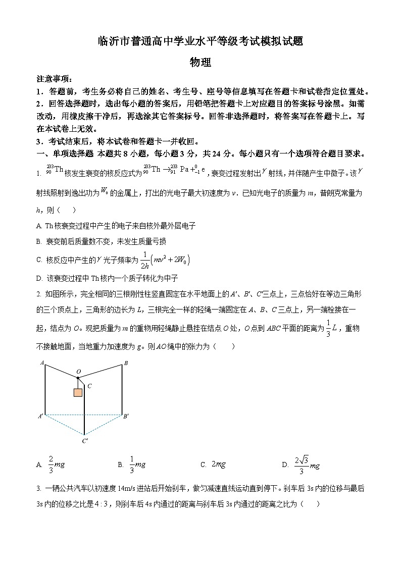2025届山东省临沂市高三下学期一模考试物理试题  Word版无答案第1页