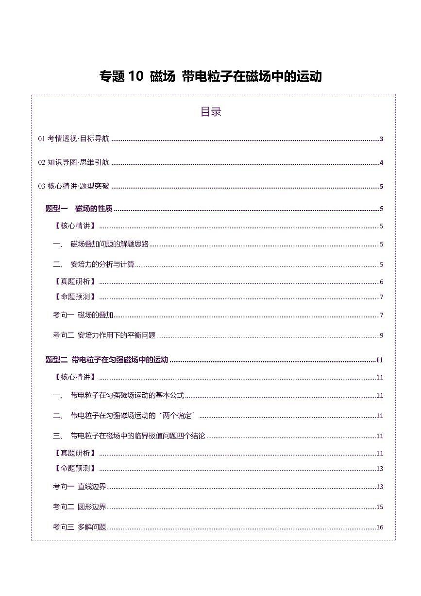 2025年高考物理二轮复习讲练测（新高考通用）专题10 磁场 带电粒子在磁场中的运动（讲义）（解析版）第1页