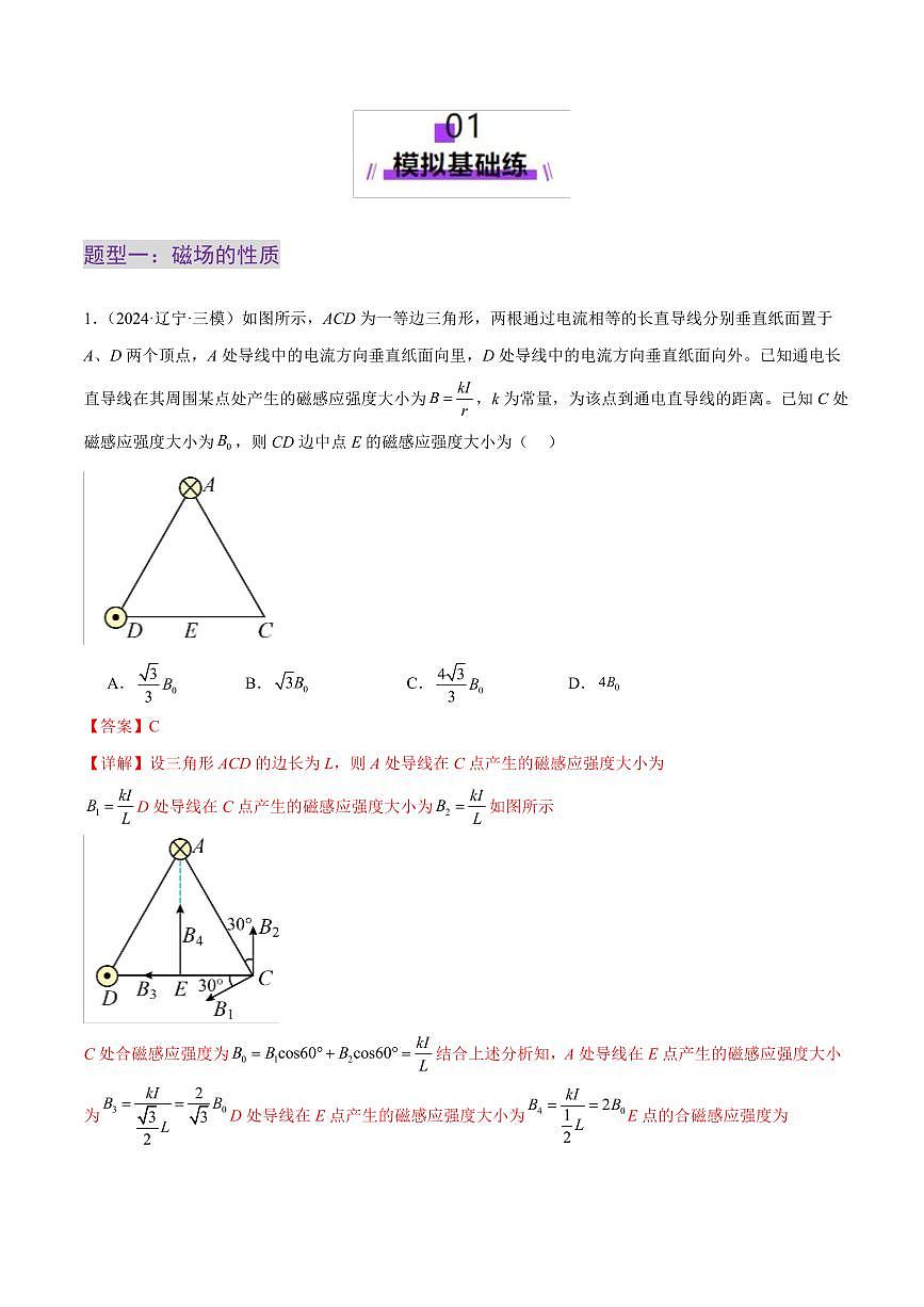 2025年高考物理二轮复习讲练测（新高考通用）专题10 磁场 带电粒子在磁场中的运动（练习）（解析版）第2页