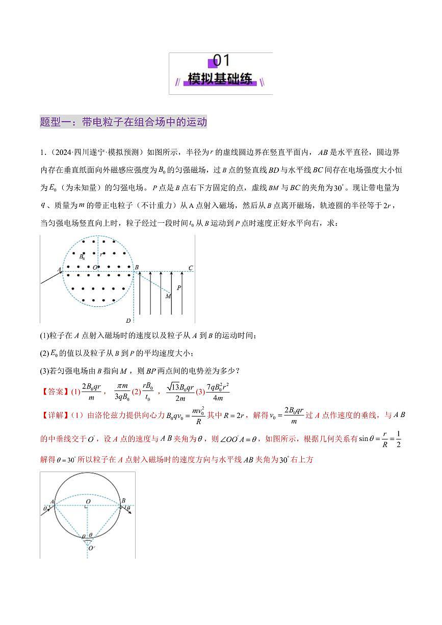 2025年高考物理二轮复习讲练测（新高考通用）专题11 带电粒子在复合场中的运动（练习）（解析版）第2页
