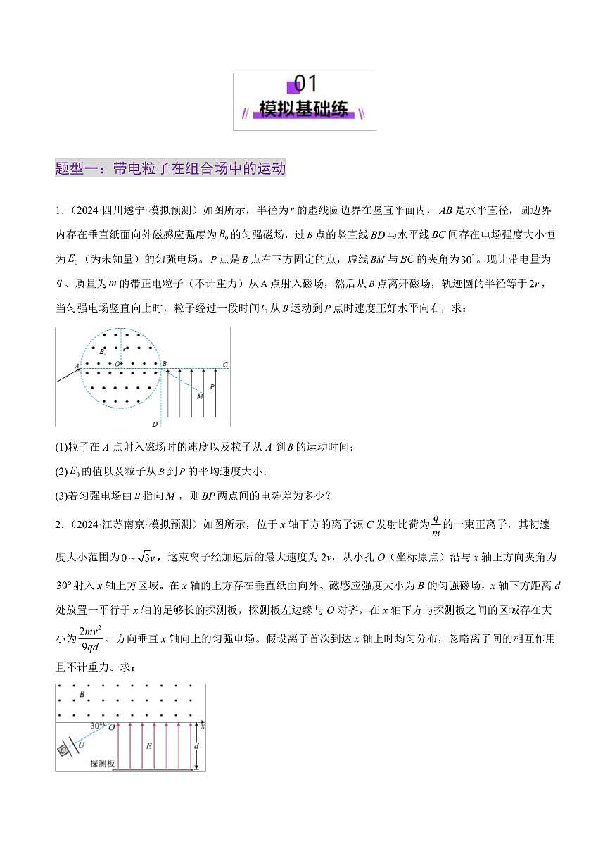 2025年高考物理二轮复习讲练测（新高考通用）专题11 带电粒子在复合场中的运动（练习）（原卷版）第2页