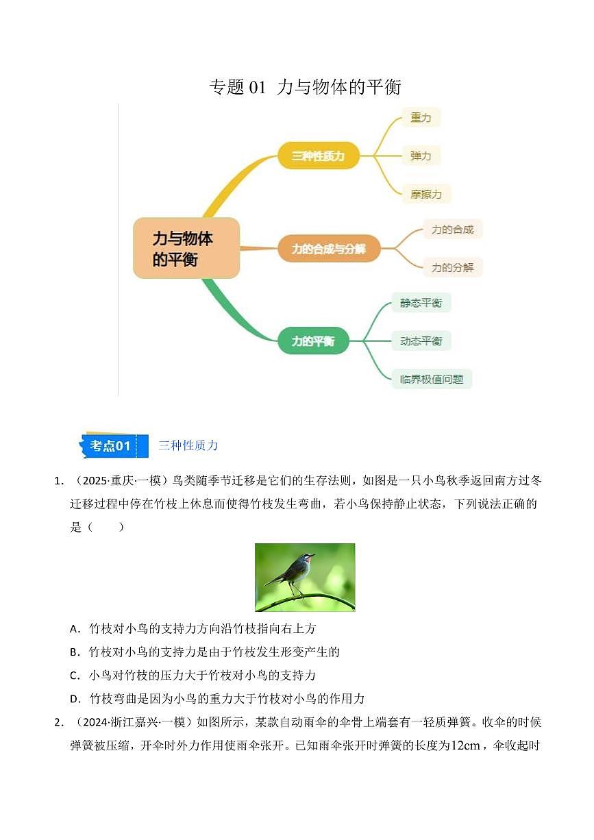 2025年高考物理一模试题分类汇编（新高考通用）专题02 力与物体的平衡（原卷版）第1页