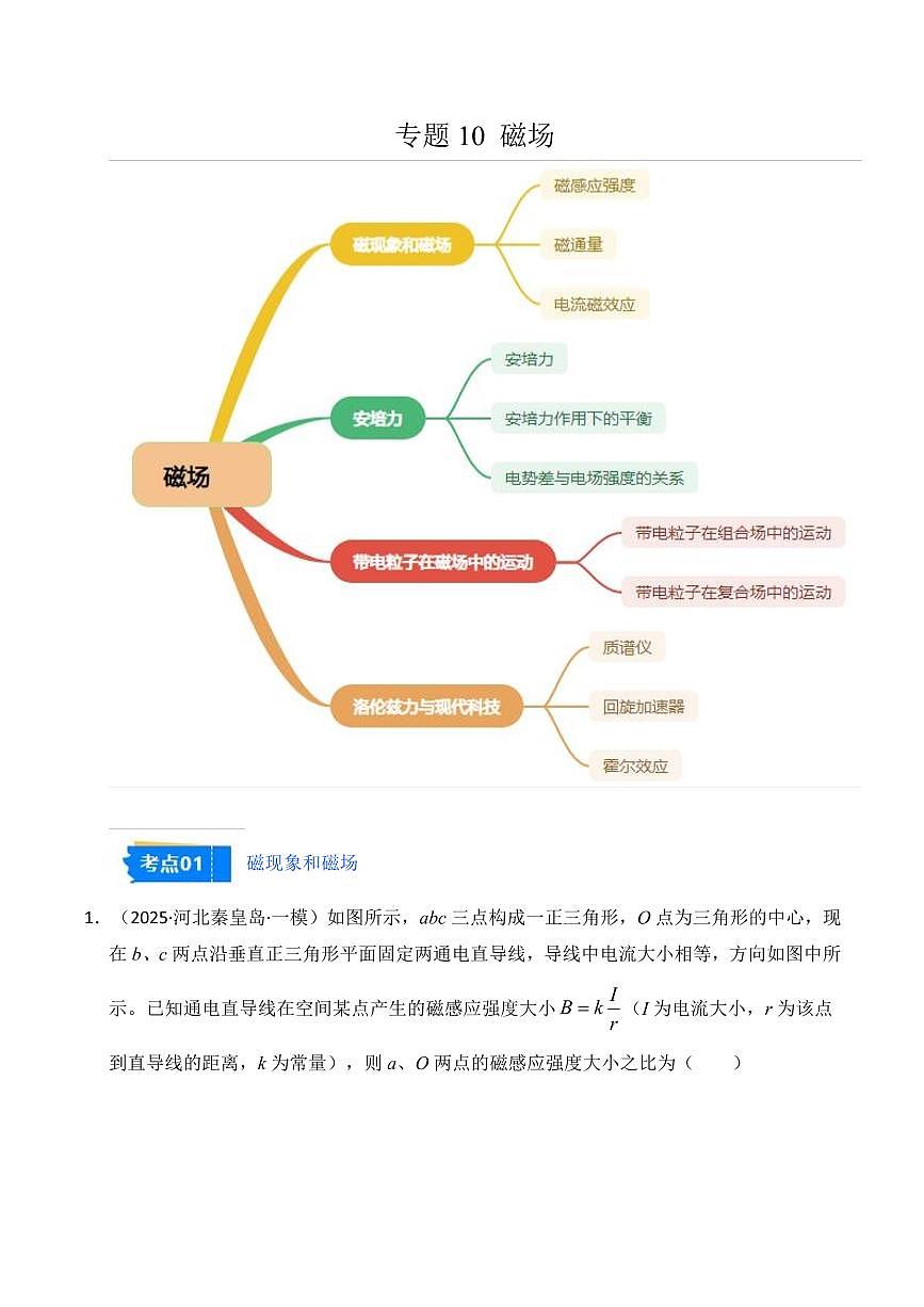 2025年高考物理一模试题分类汇编（新高考通用）专题10 磁场（新高考通用）（解析版）第1页