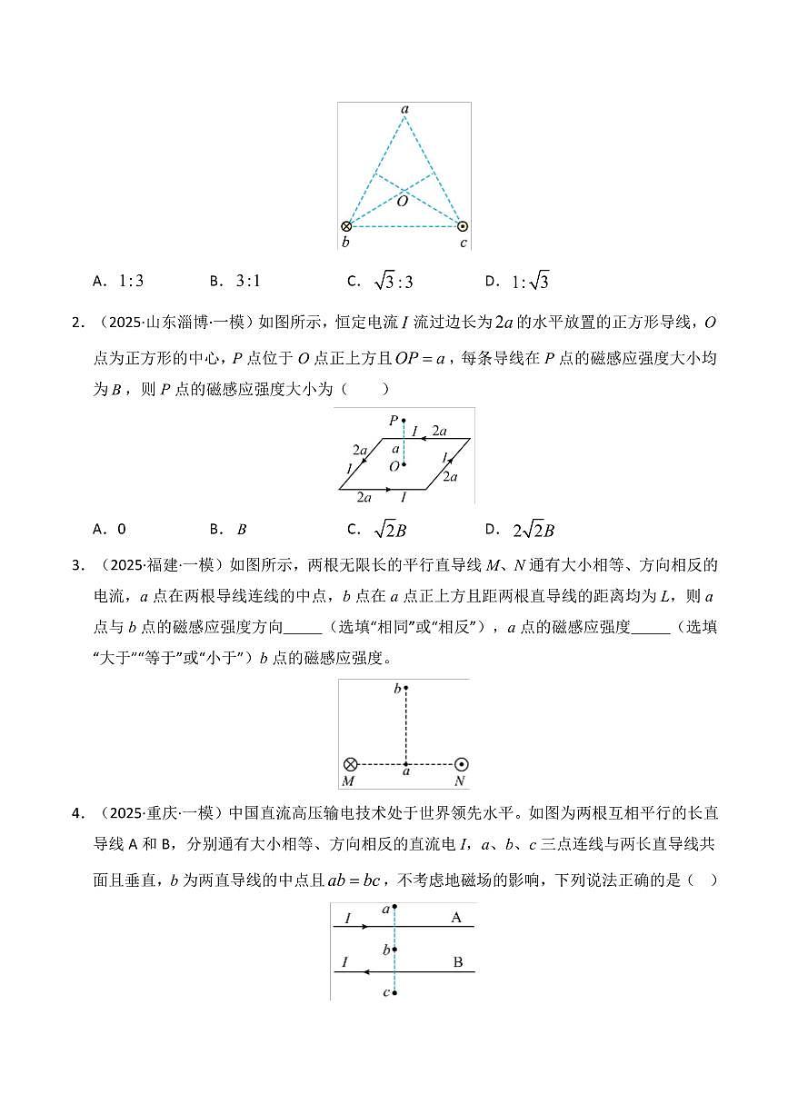 2025年高考物理一模试题分类汇编（新高考通用）专题10 磁场（新高考通用）（原卷版）第2页