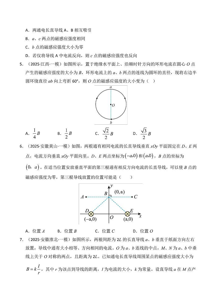 2025年高考物理一模试题分类汇编（新高考通用）专题10 磁场（新高考通用）（原卷版）第3页