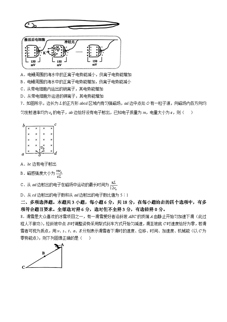 2025届广东省佛山市普通高中教学质量检测（二）+物理试卷(无答案)第3页