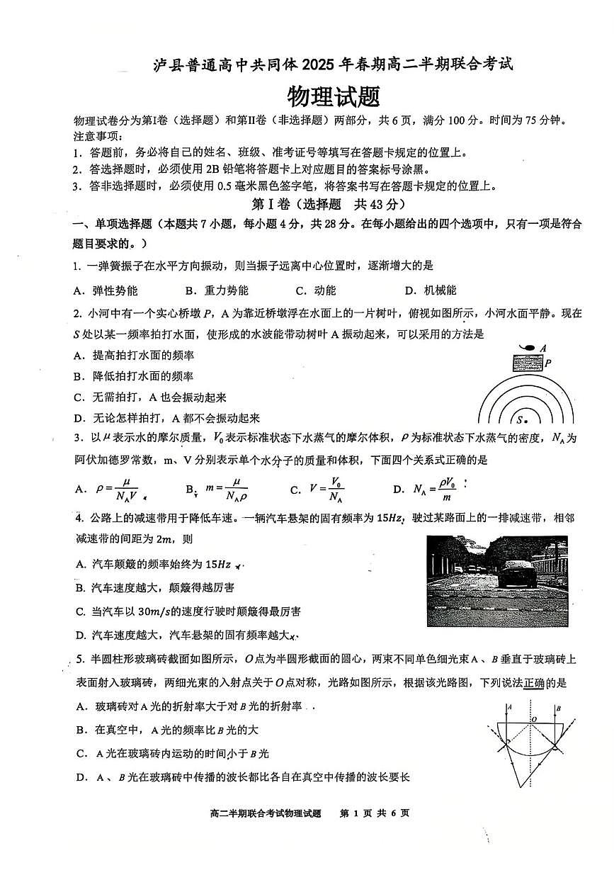 四川省泸州市泸县高中共同体2024-2025学年高二下学期4月期中联考物理试卷（PDF版附答案）第1页
