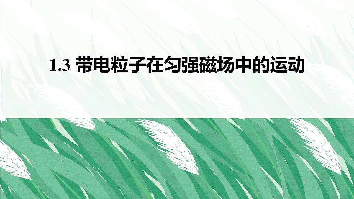 人教版高中物理选择性必修二 1-3带电粒子在匀强磁场中的运动-课件第1页