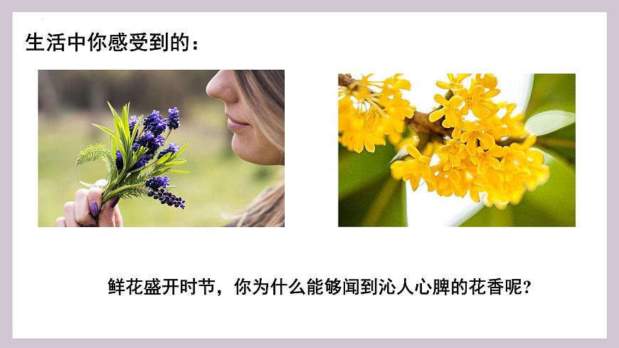 人教版高中物理选择性必修三 1-1 分子动理论的基本内容-课件第4页