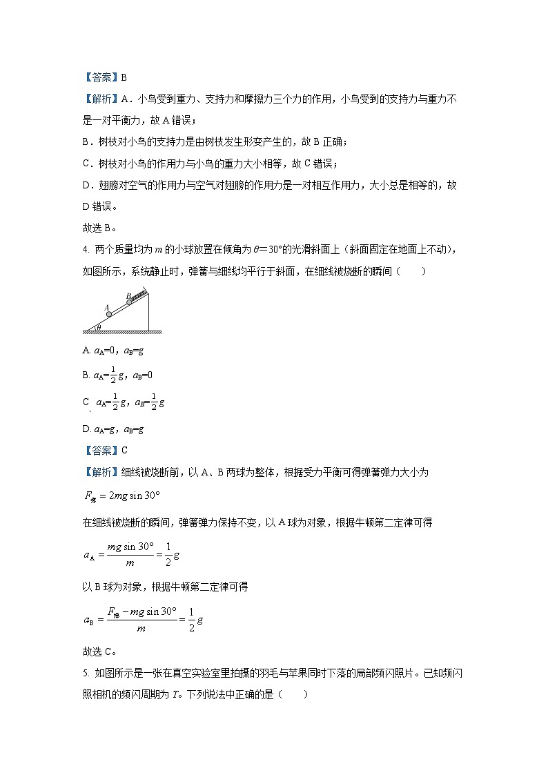 河南省部分学校2024-2025学年高一下学期开年摸底大联考物理试卷（解析版）第3页