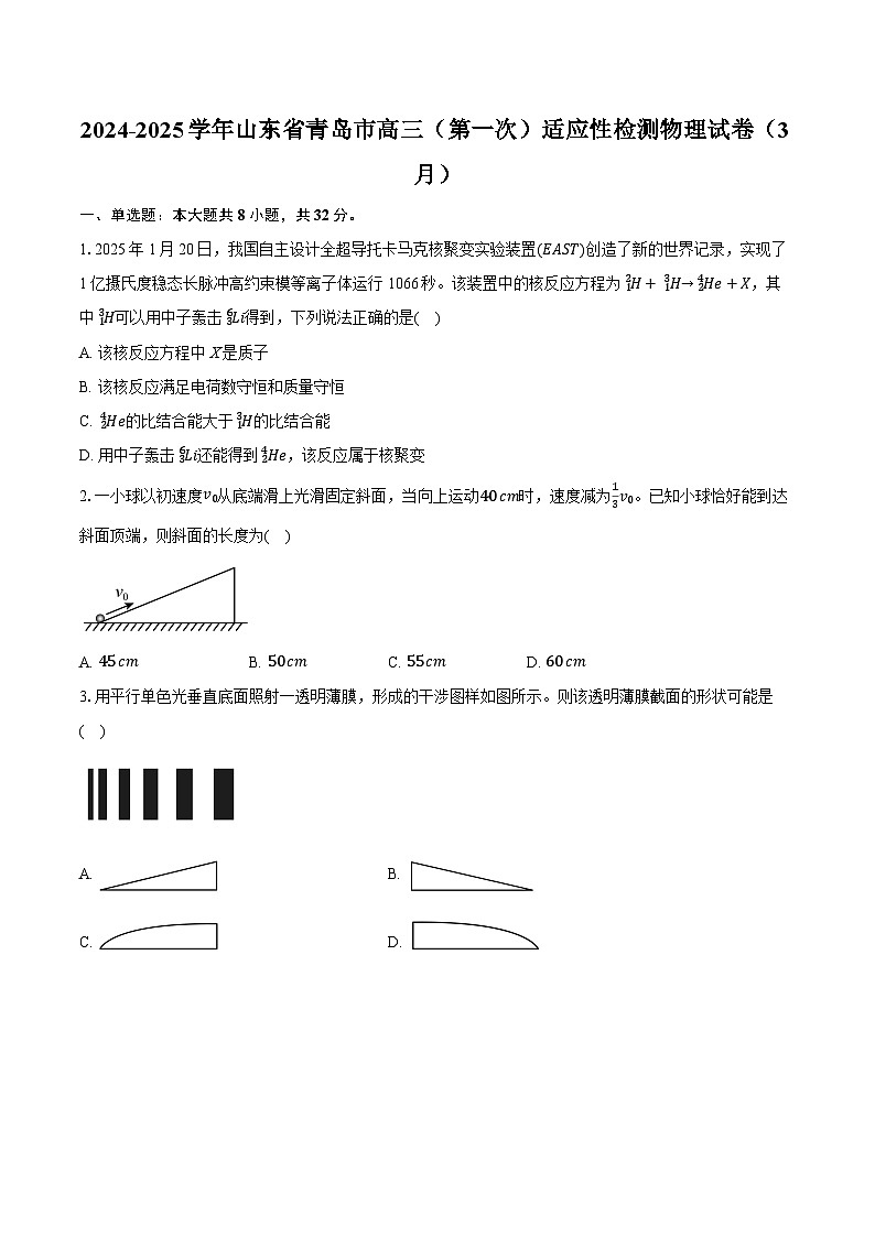 2024-2025学年山东省青岛市高三（第一次）适应性检测物理试卷（3月）（含详细答案解析）第1页