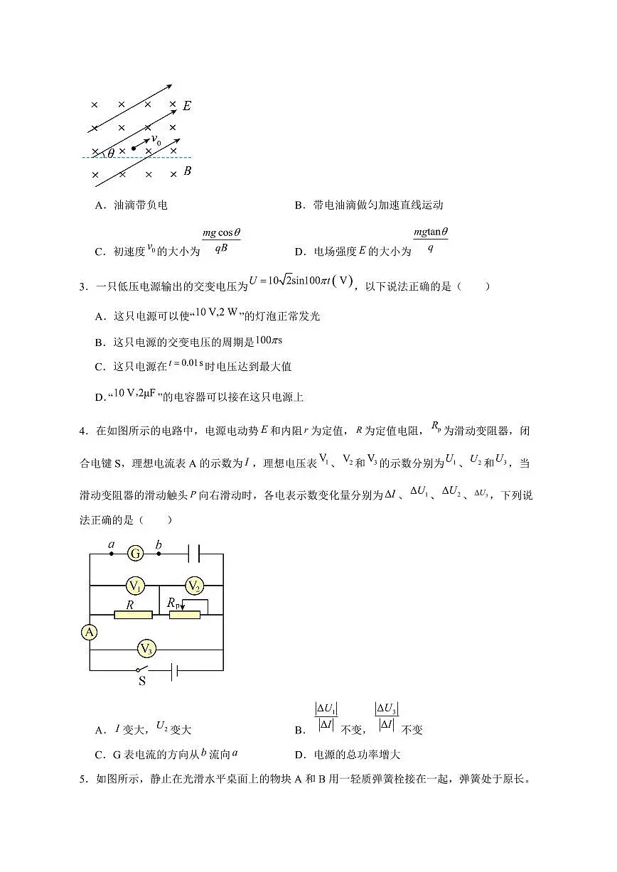 河南省驻马店2024-2025学年高二下学期4月期中物理检测试题（含答案）第2页