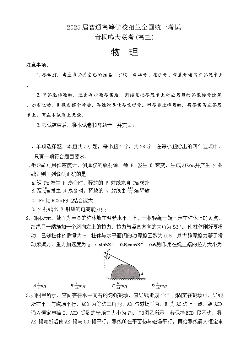 2025届河南省青桐鸣大联考高三下学期5月模拟考试物理试卷第1页