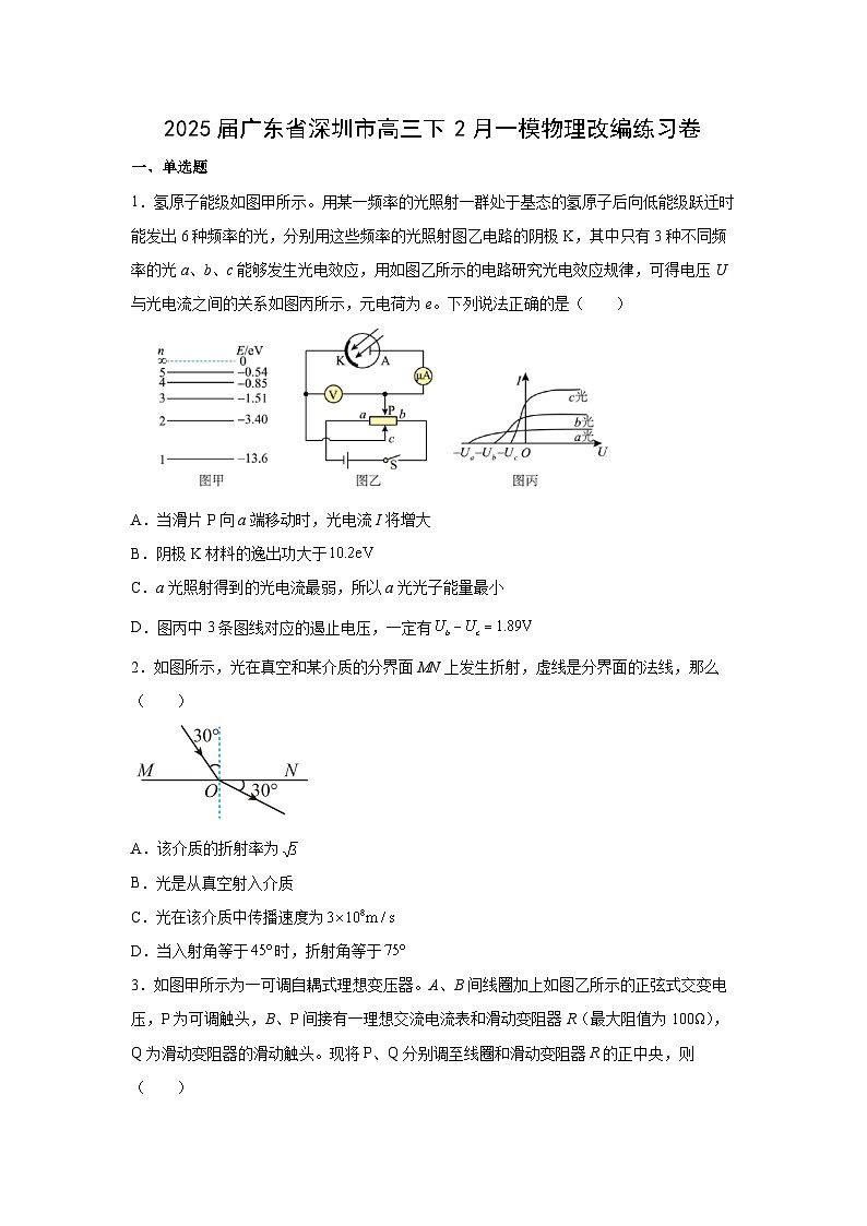 广东省深圳市2025届高三下学期一模改编练习卷物理试卷（解析版）第1页