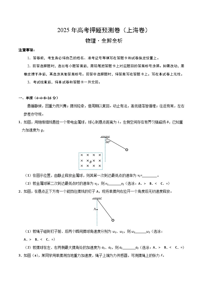 2025年高考押题预测卷：物理（上海卷）01（解析版）第1页